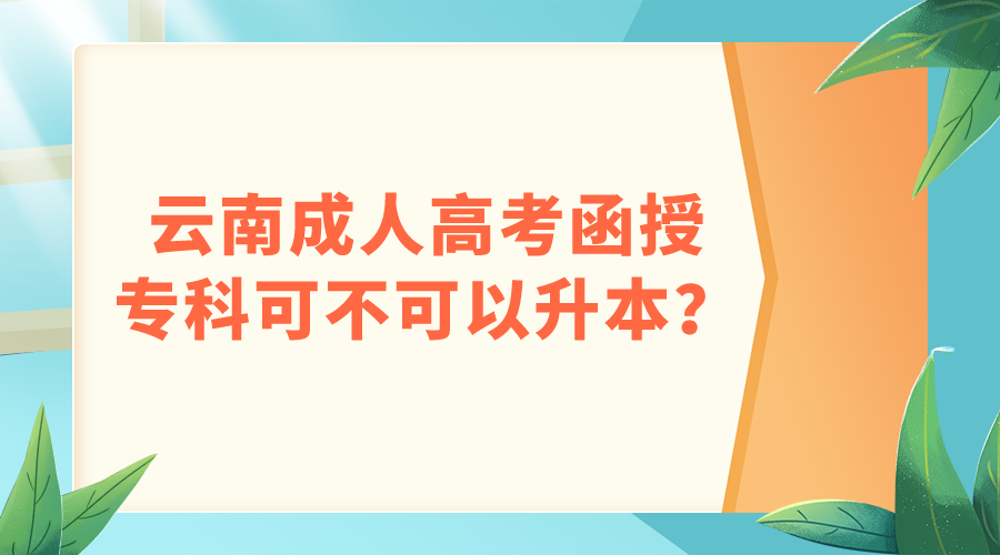 云南成人高考函授专科可不可以升本？