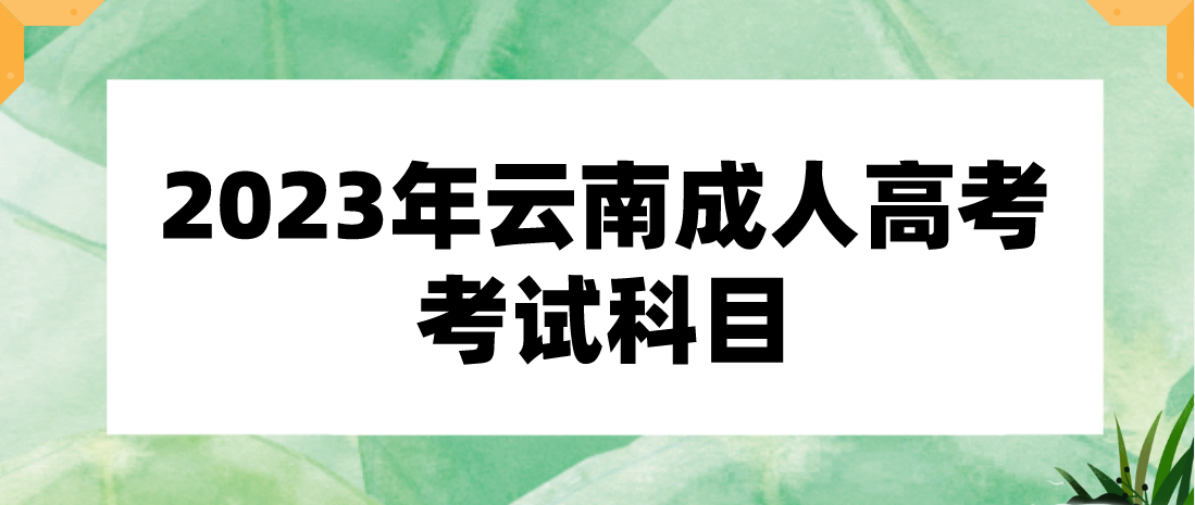 2023年云南成人高考考试科目